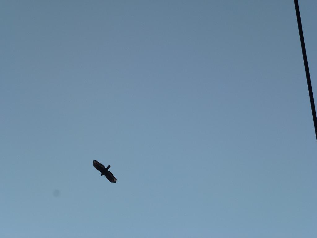 «ö¦¹¦b·sµøµ¡ÂsÄý¹Ï¤ù