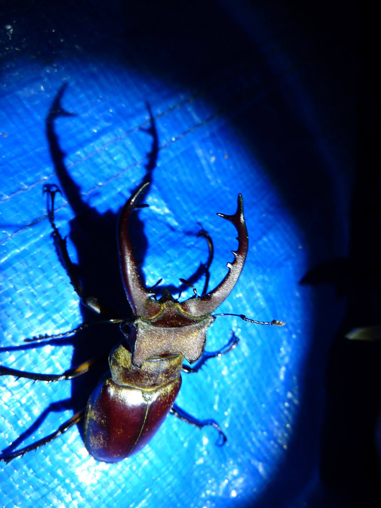 按此在新視窗瀏覽圖片