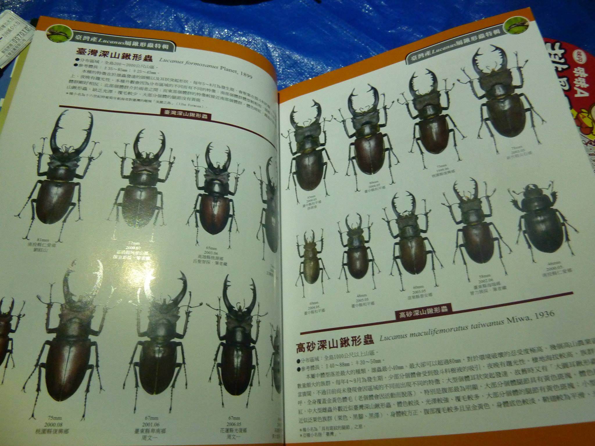 按此在新視窗瀏覽圖片