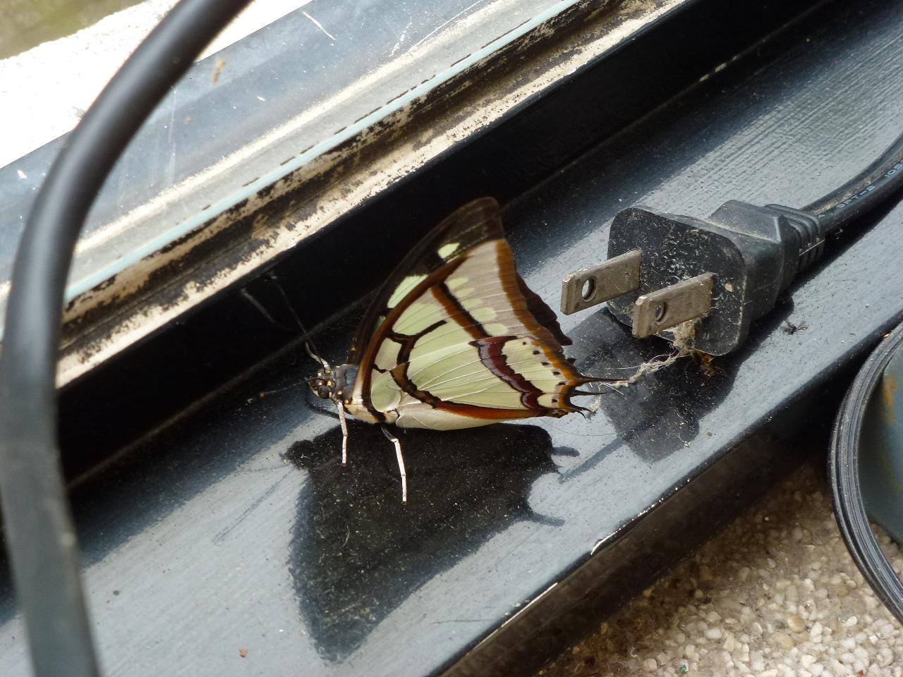 «ö¦¹¦b·sµøµ¡ÂsÄý¹Ï¤ù