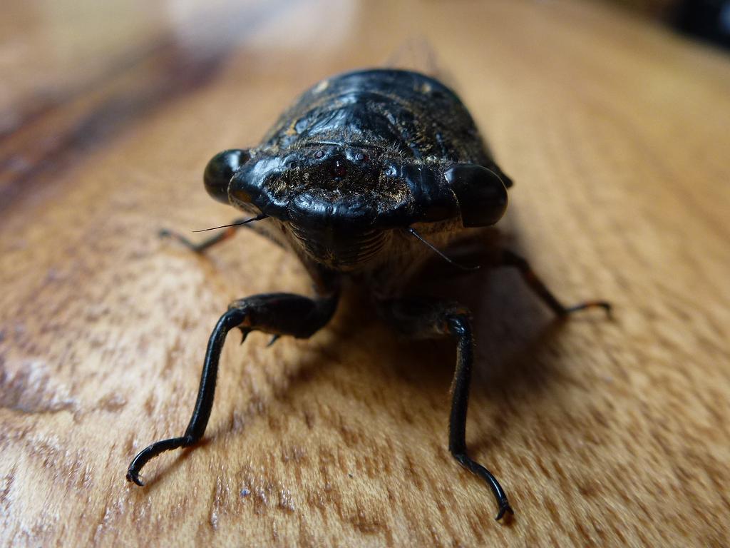 «ö¦¹¦b·sµøµ¡ÂsÄý¹Ï¤ù