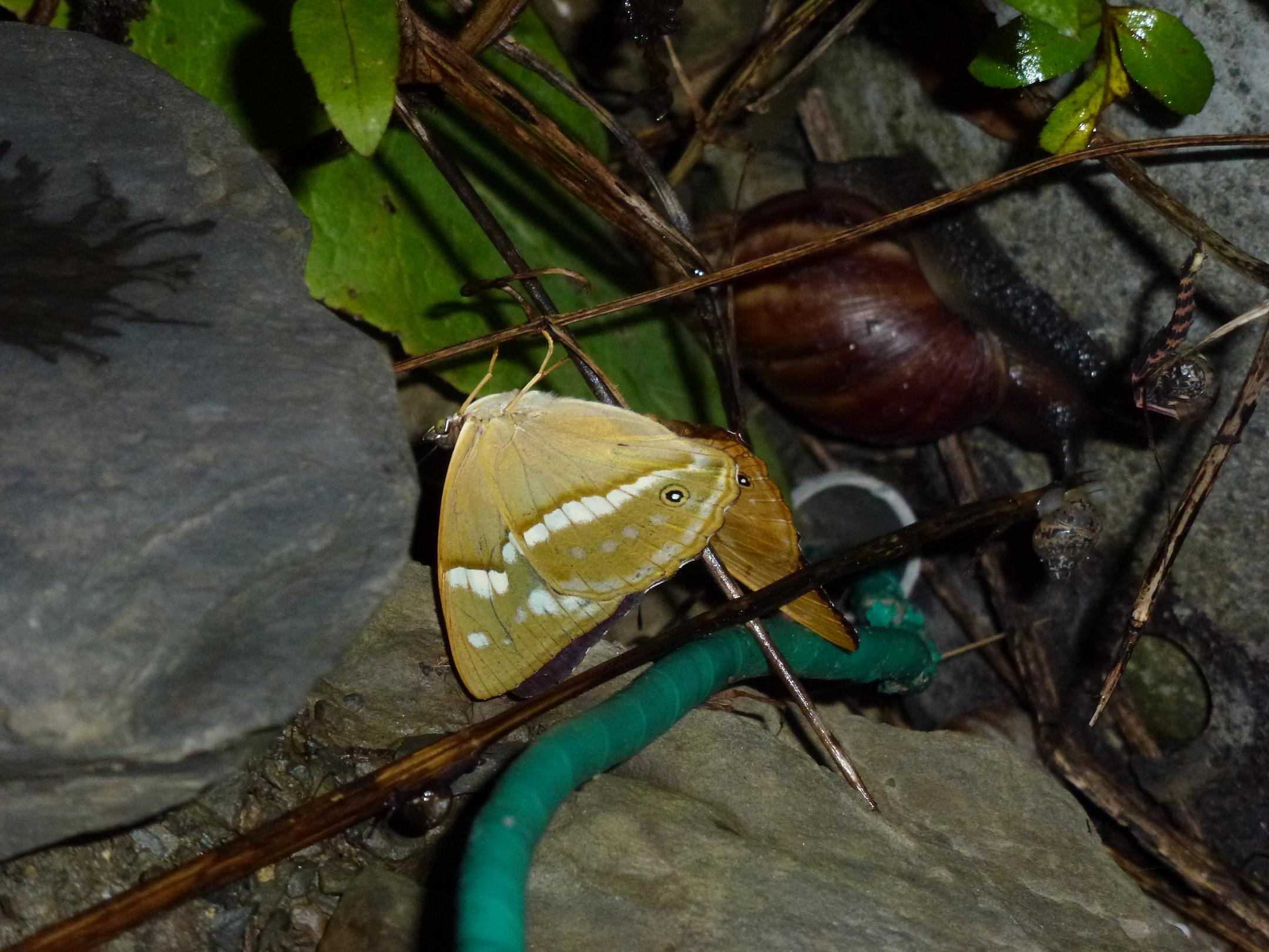 «ö¦¹¦b·sµøµ¡ÂsÄý¹Ï¤ù