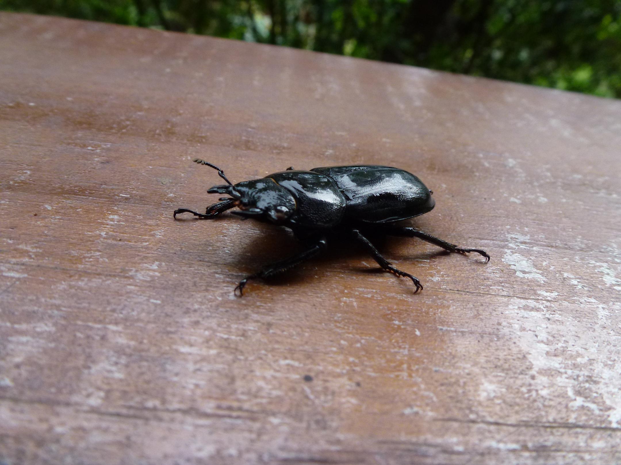 «ö¦¹¦b·sµøµ¡ÂsÄý¹Ï¤ù