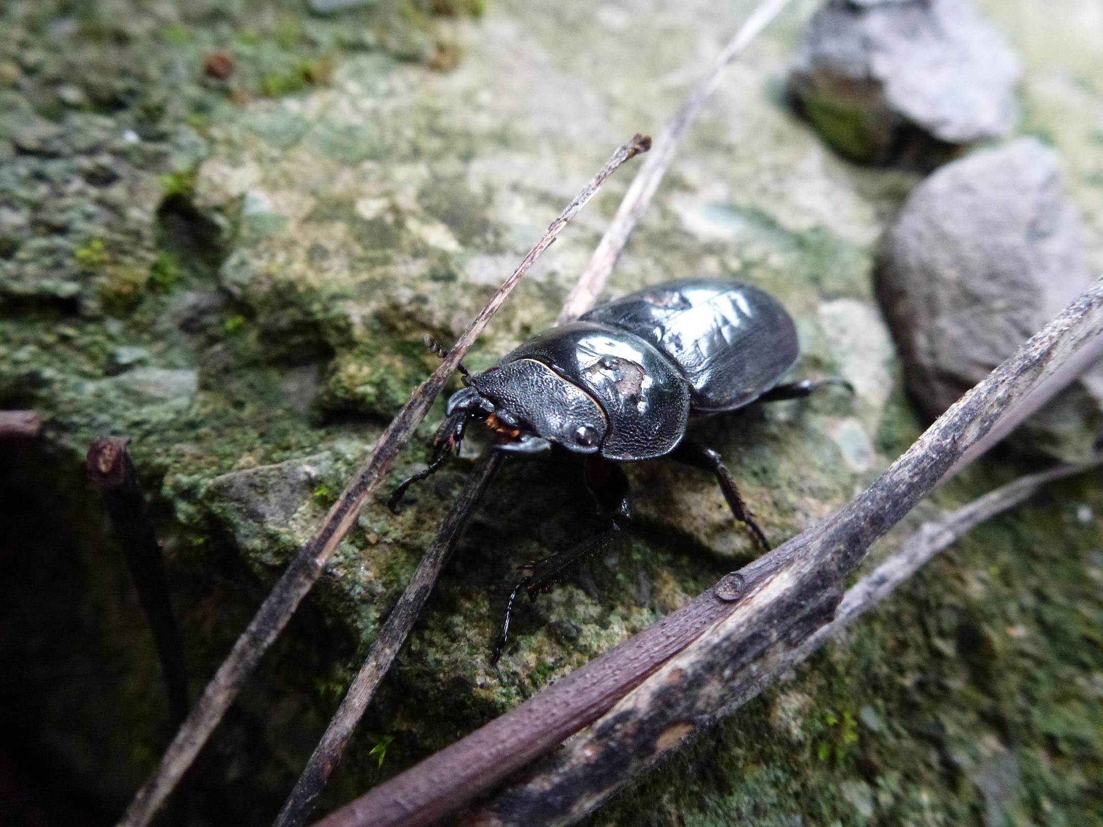 «ö¦¹¦b·sµøµ¡ÂsÄý¹Ï¤ù