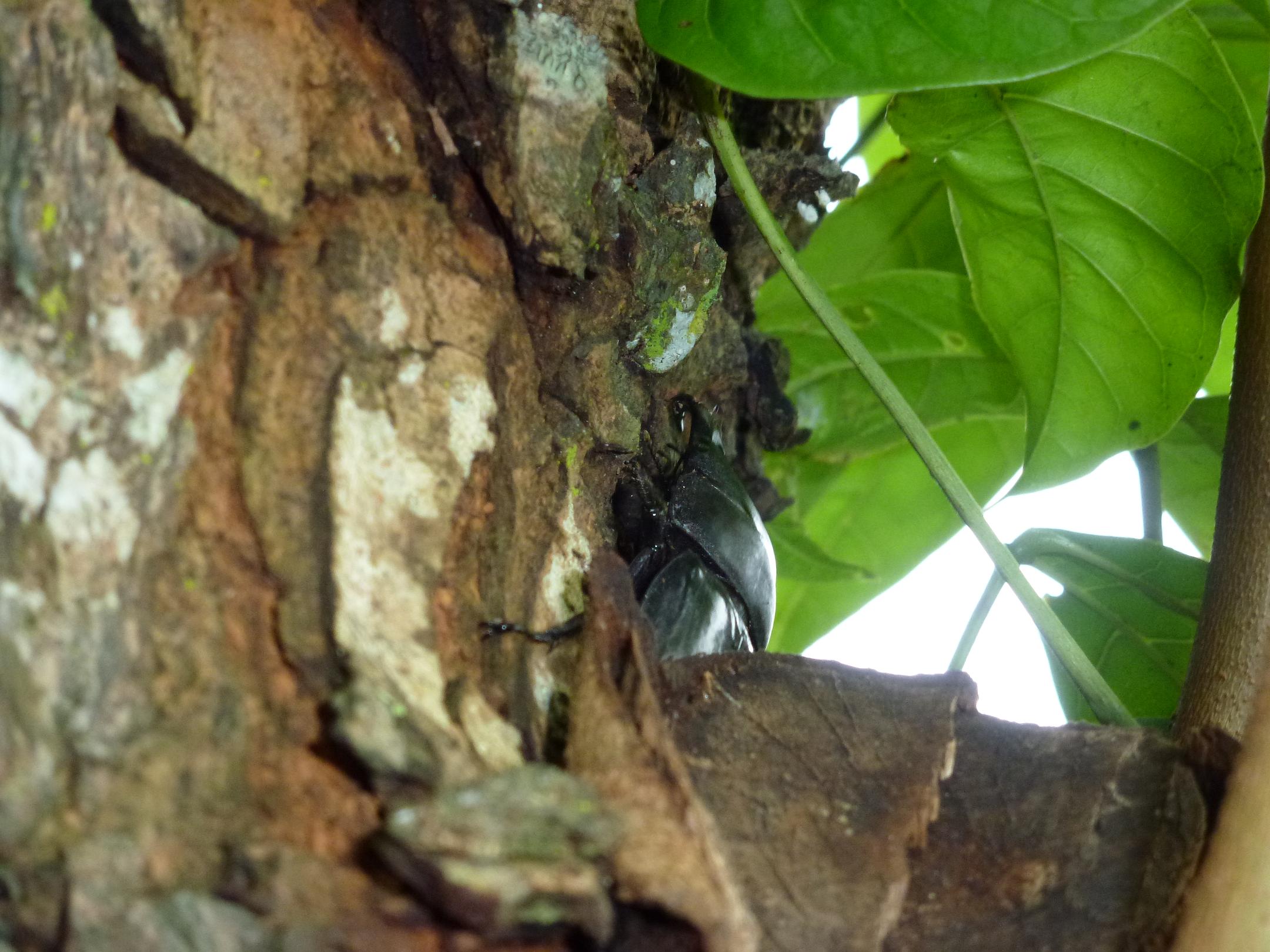 «ö¦¹¦b·sµøµ¡ÂsÄý¹Ï¤ù