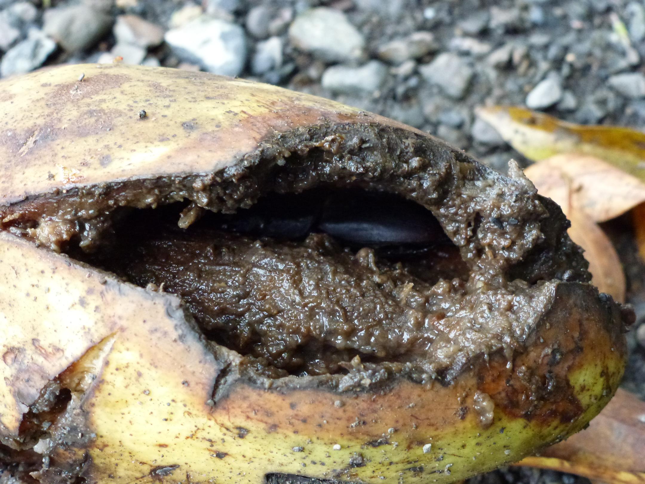 «ö¦¹¦b·sµøµ¡ÂsÄý¹Ï¤ù