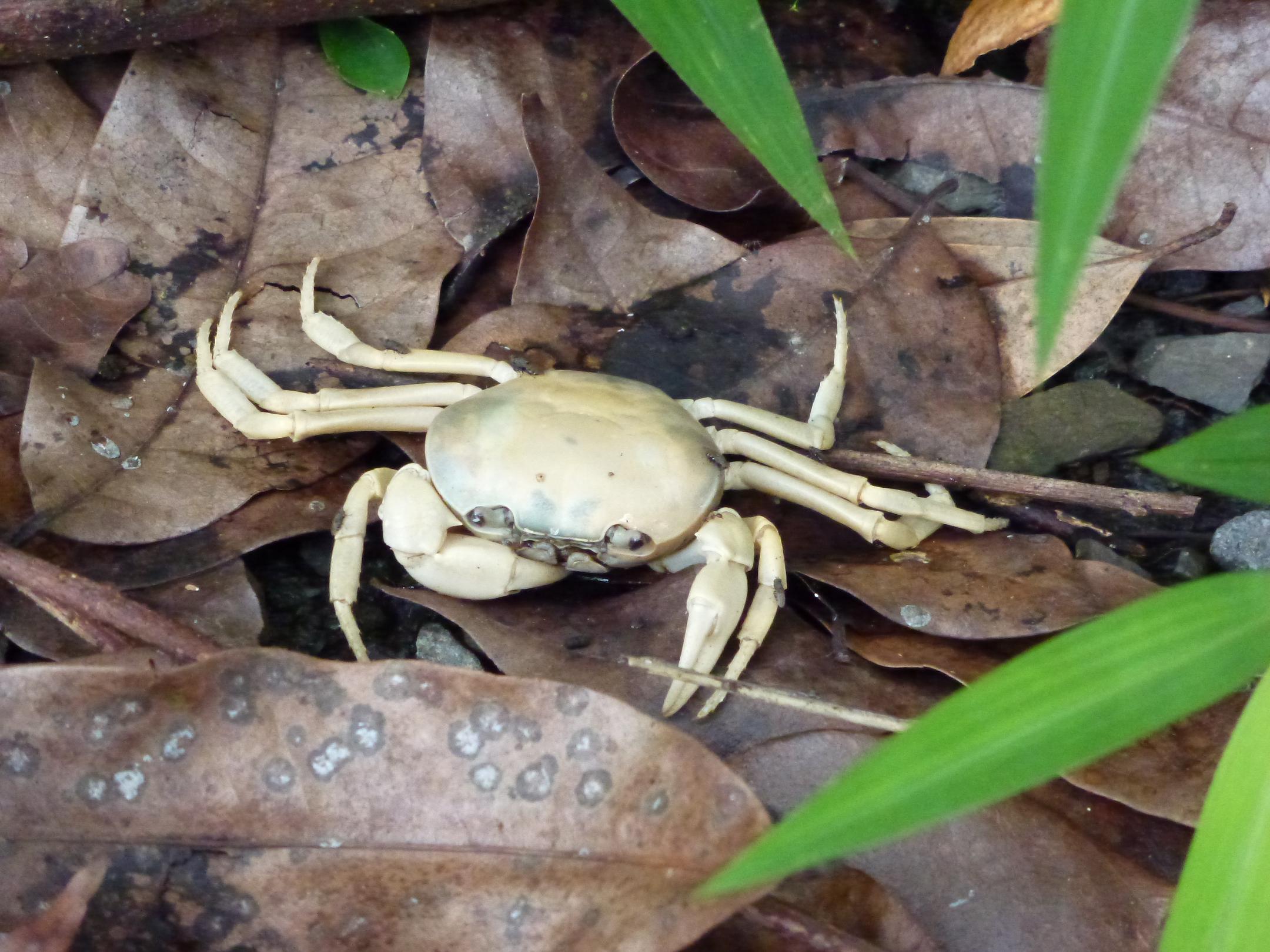 «ö¦¹¦b·sµøµ¡ÂsÄý¹Ï¤ù