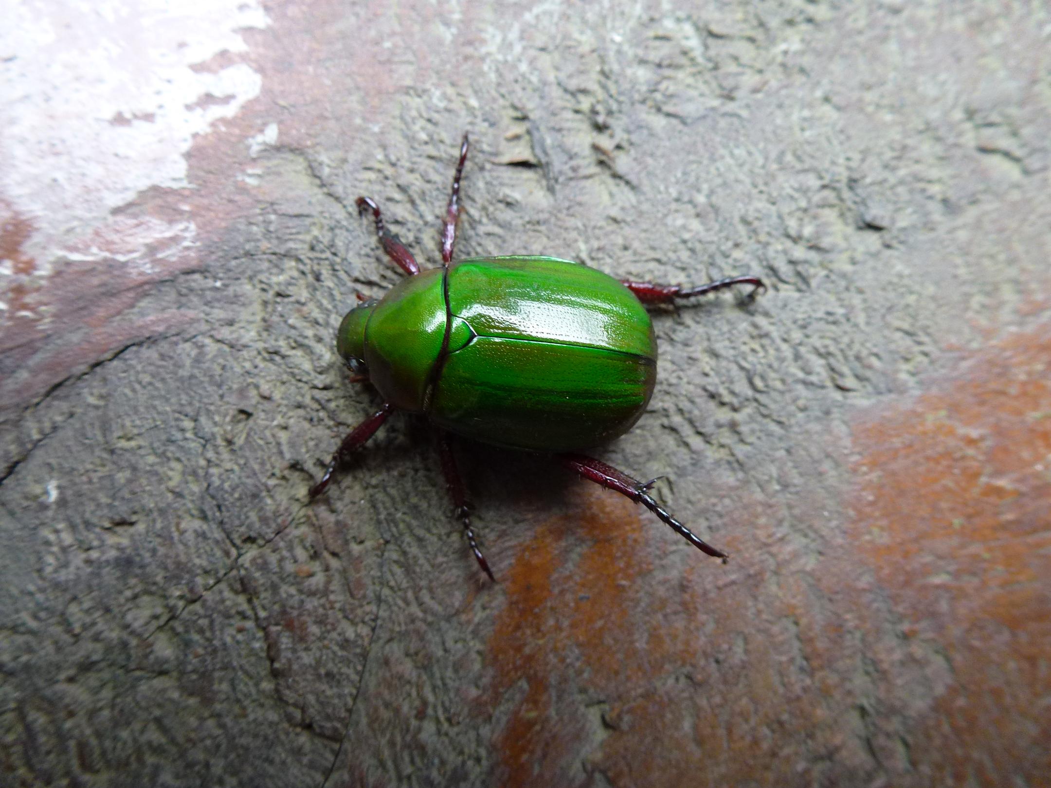 «ö¦¹¦b·sµøµ¡ÂsÄý¹Ï¤ù