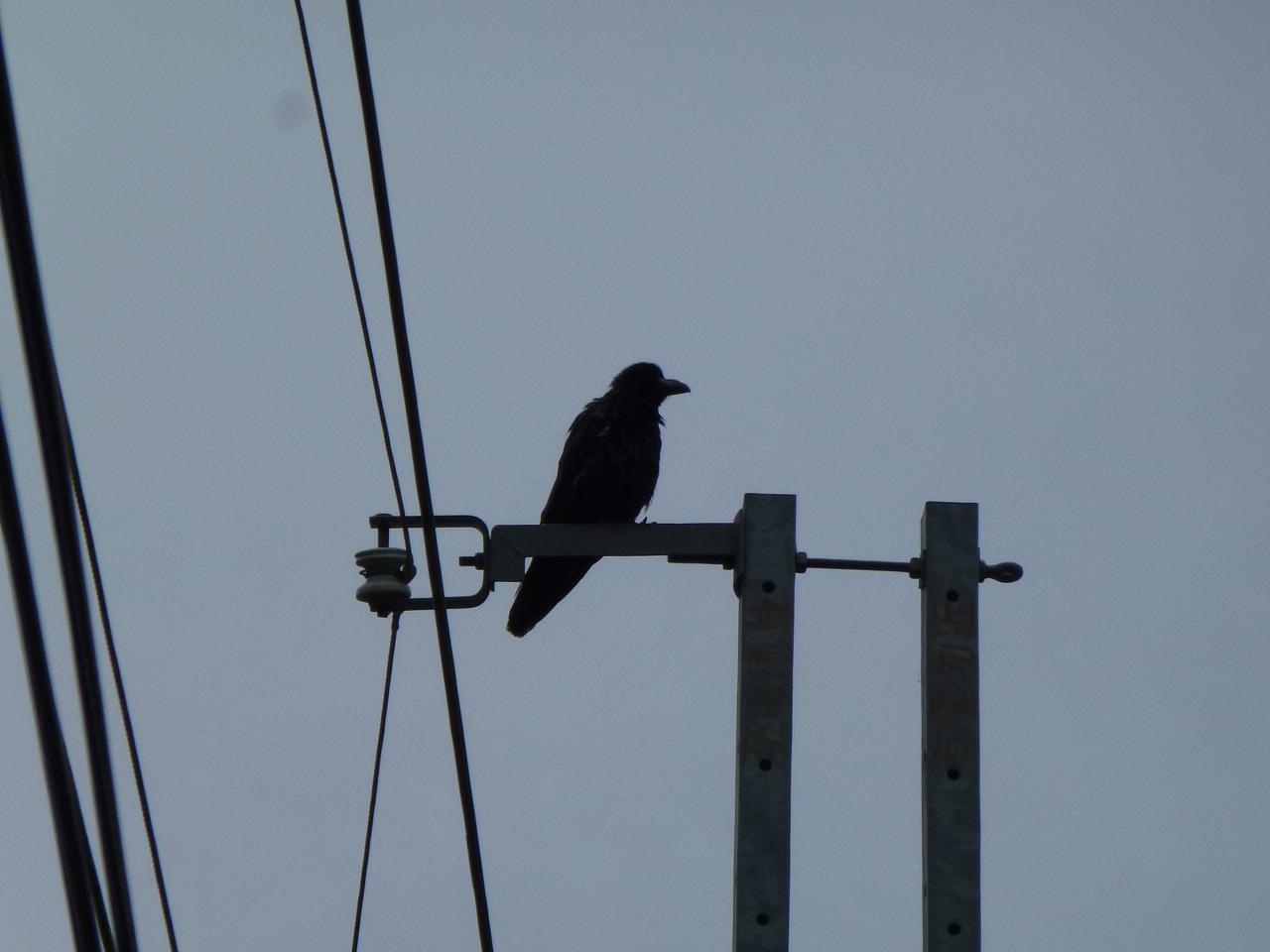 «ö¦¹¦b·sµøµ¡ÂsÄý¹Ï¤ù