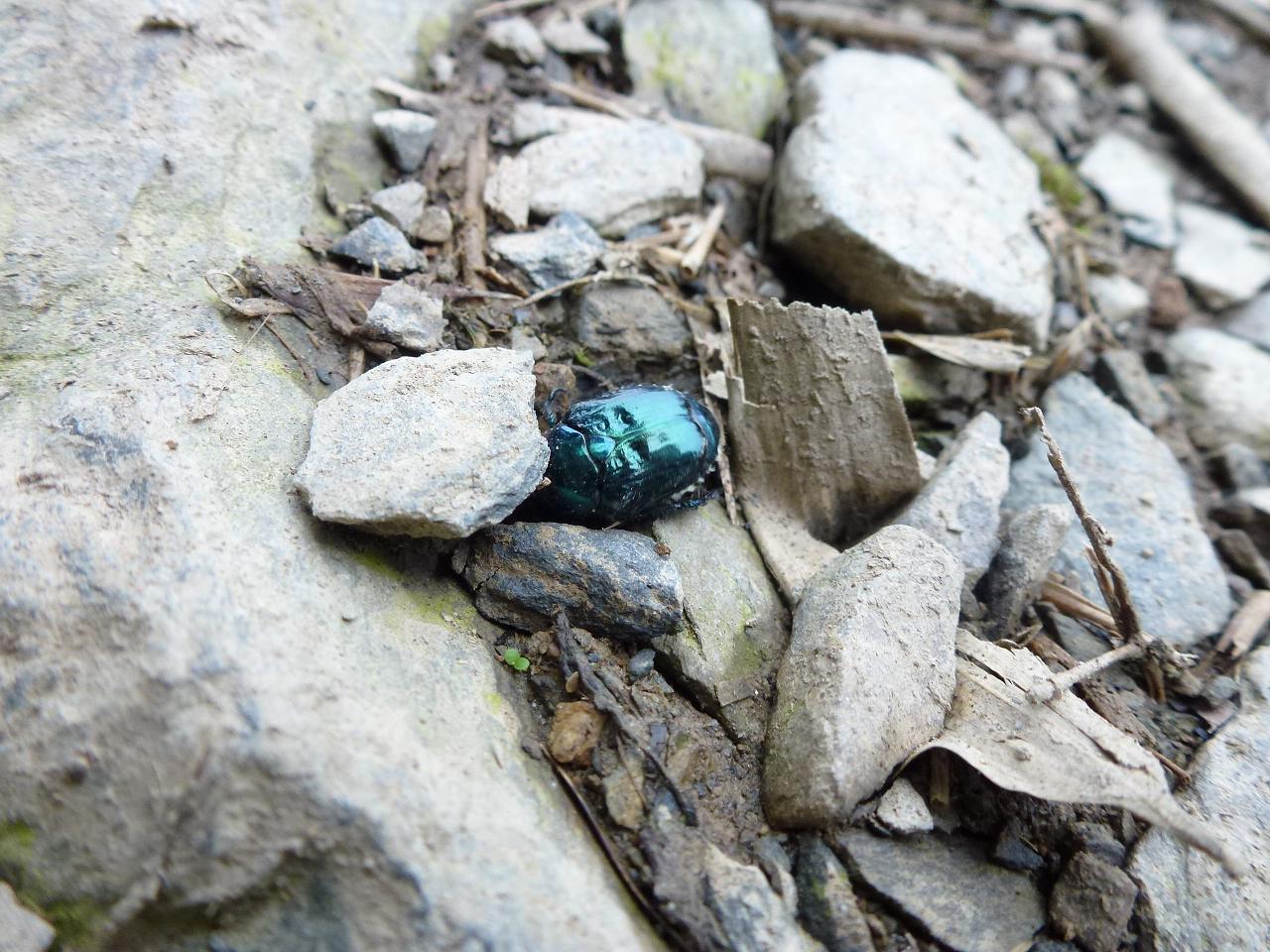 «ö¦¹¦b·sµøµ¡ÂsÄý¹Ï¤ù