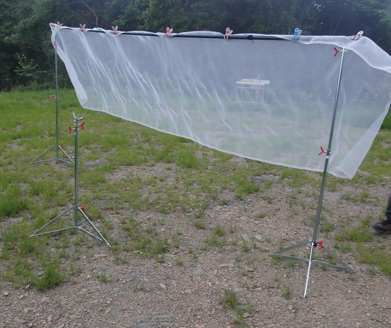 «ö¦¹¦b·sµøµ¡ÂsÄý¹Ï¤ù