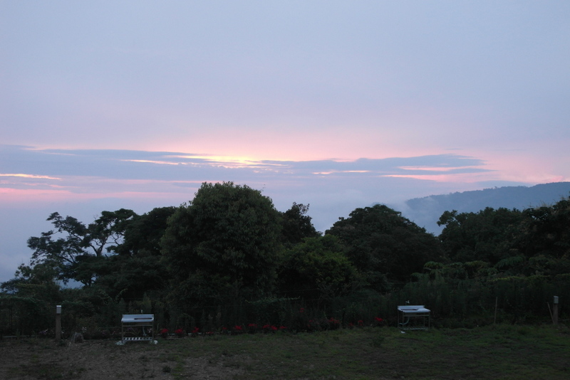 «ö¦¹¦b·sµøµ¡ÂsÄý¹Ï¤ù