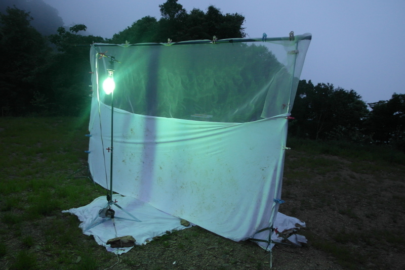 «ö¦¹¦b·sµøµ¡ÂsÄý¹Ï¤ù