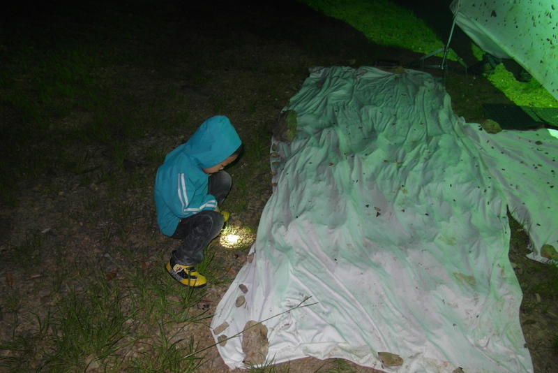 «ö¦¹¦b·sµøµ¡ÂsÄý¹Ï¤ù