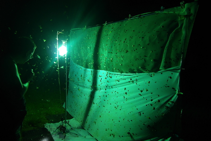 «ö¦¹¦b·sµøµ¡ÂsÄý¹Ï¤ù