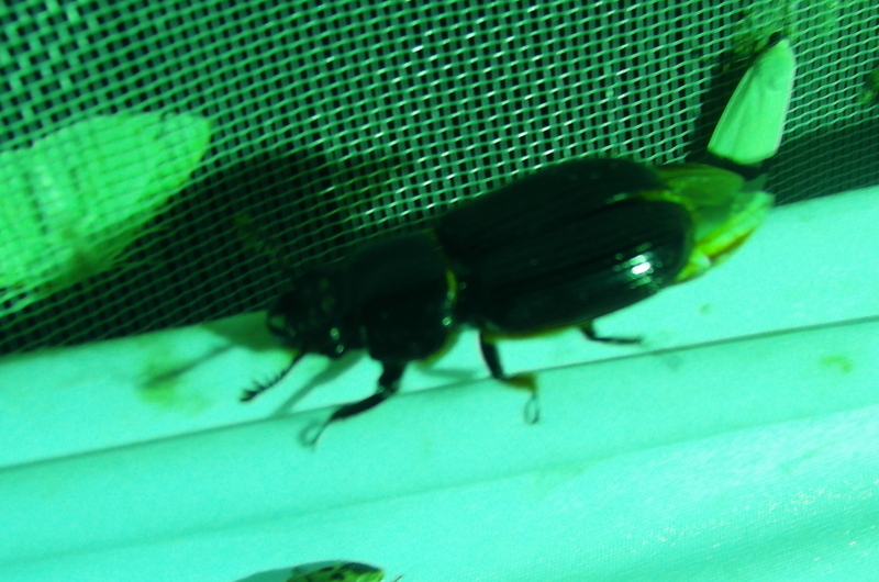 «ö¦¹¦b·sµøµ¡ÂsÄý¹Ï¤ù