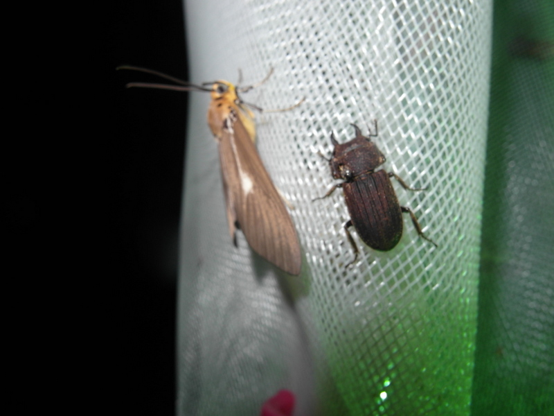 «ö¦¹¦b·sµøµ¡ÂsÄý¹Ï¤ù