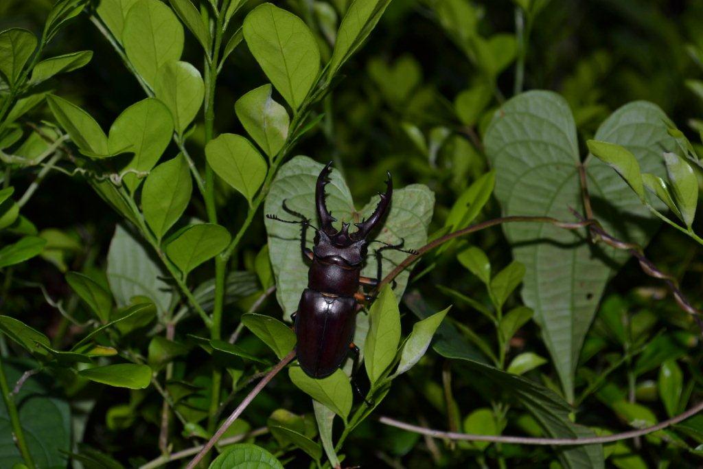 «ö¦¹¦b·sµøµ¡ÂsÄý¹Ï¤ù