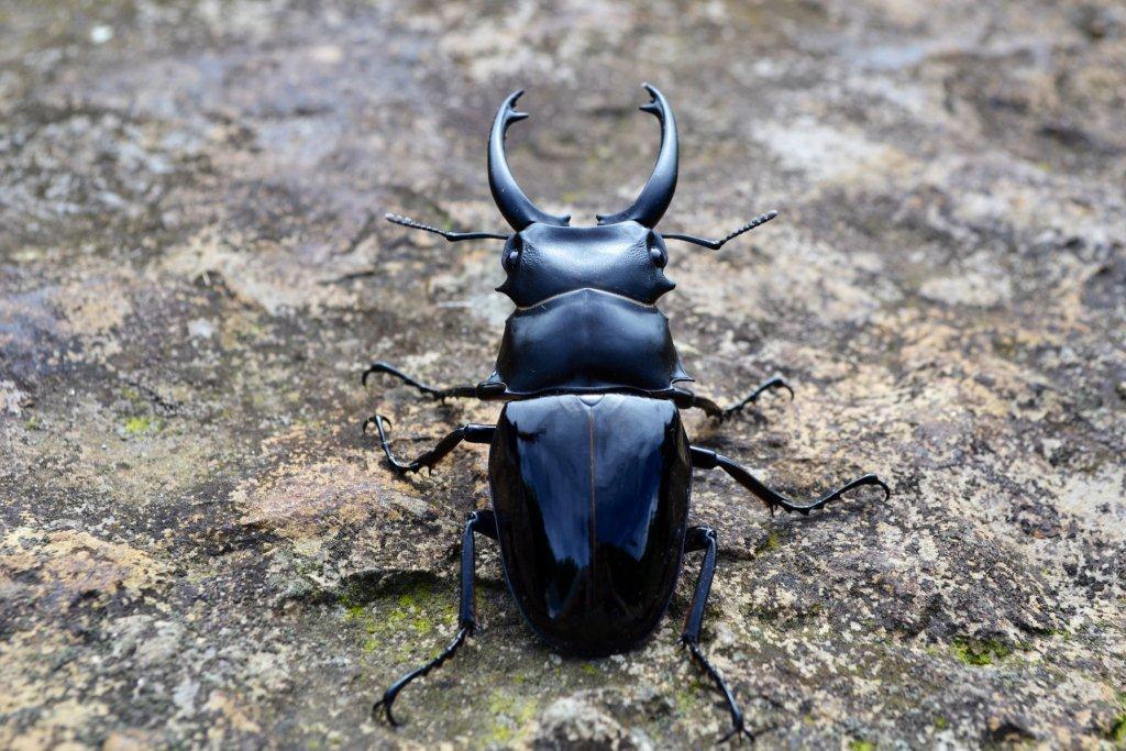 «ö¦¹¦b·sµøµ¡ÂsÄý¹Ï¤ù