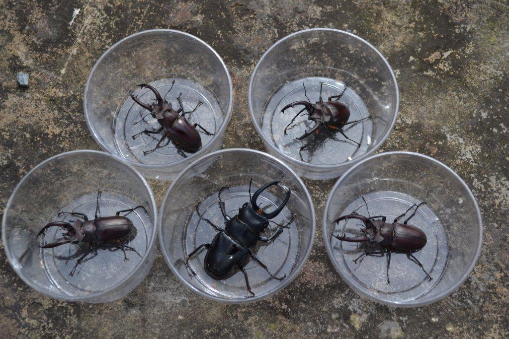 «ö¦¹¦b·sµøµ¡ÂsÄý¹Ï¤ù