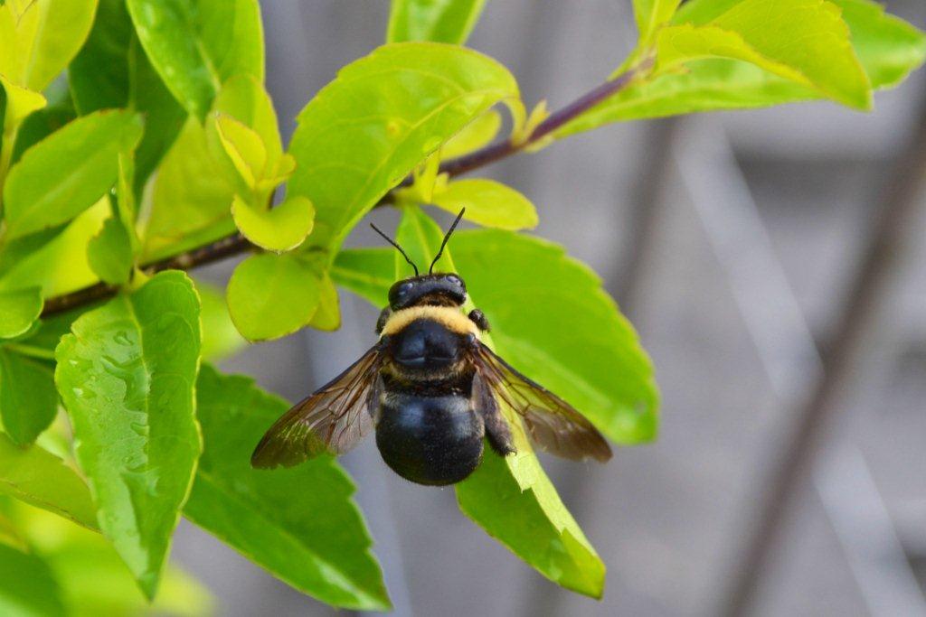 «ö¦¹¦b·sµøµ¡ÂsÄý¹Ï¤ù