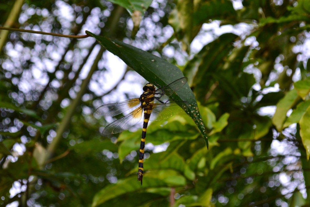 «ö¦¹¦b·sµøµ¡ÂsÄý¹Ï¤ù