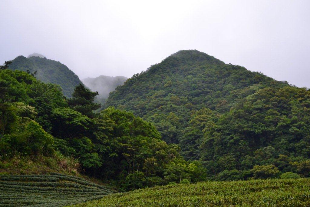 «ö¦¹¦b·sµøµ¡ÂsÄý¹Ï¤ù