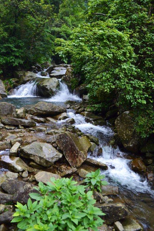 «ö¦¹¦b·sµøµ¡ÂsÄý¹Ï¤ù