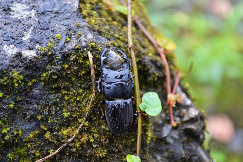 «ö¦¹¦b·sµøµ¡ÂsÄý¹Ï¤ù