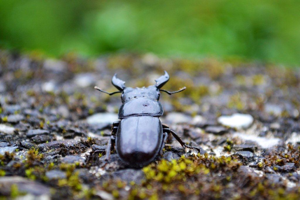 «ö¦¹¦b·sµøµ¡ÂsÄý¹Ï¤ù