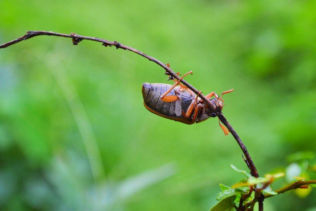 «ö¦¹¦b·sµøµ¡ÂsÄý¹Ï¤ù