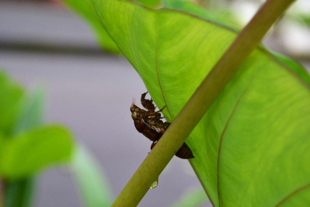 «ö¦¹¦b·sµøµ¡ÂsÄý¹Ï¤ù