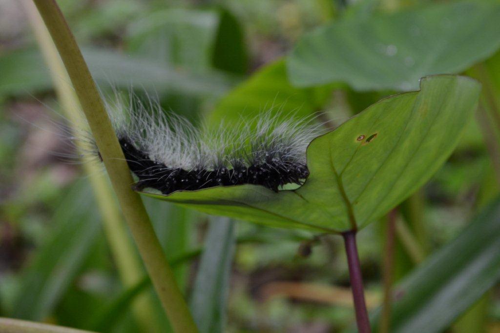 «ö¦¹¦b·sµøµ¡ÂsÄý¹Ï¤ù