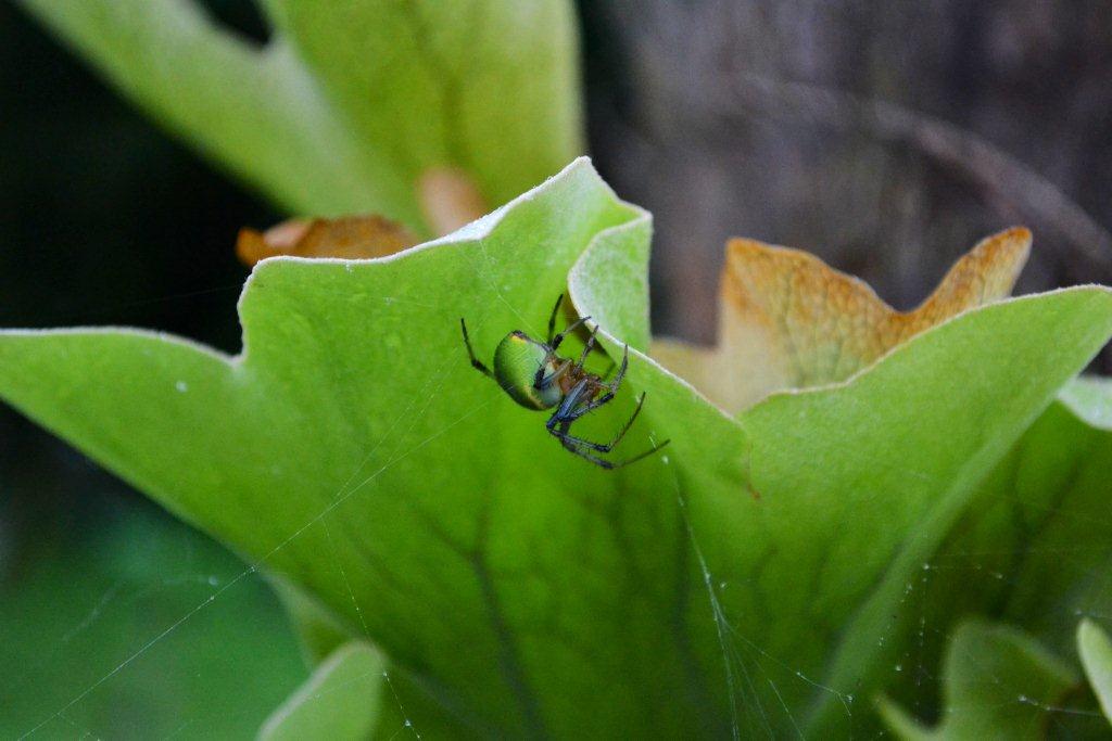 «ö¦¹¦b·sµøµ¡ÂsÄý¹Ï¤ù