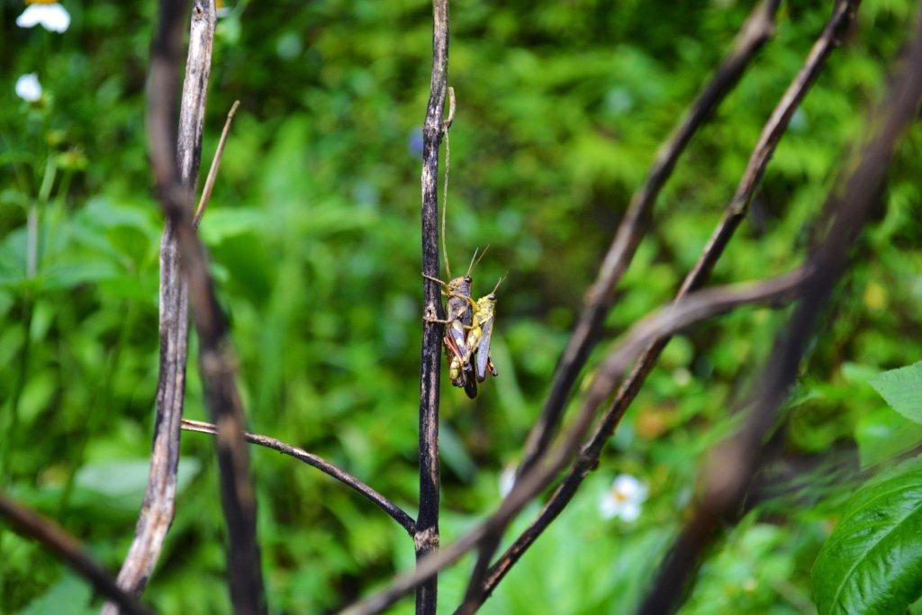 «ö¦¹¦b·sµøµ¡ÂsÄý¹Ï¤ù