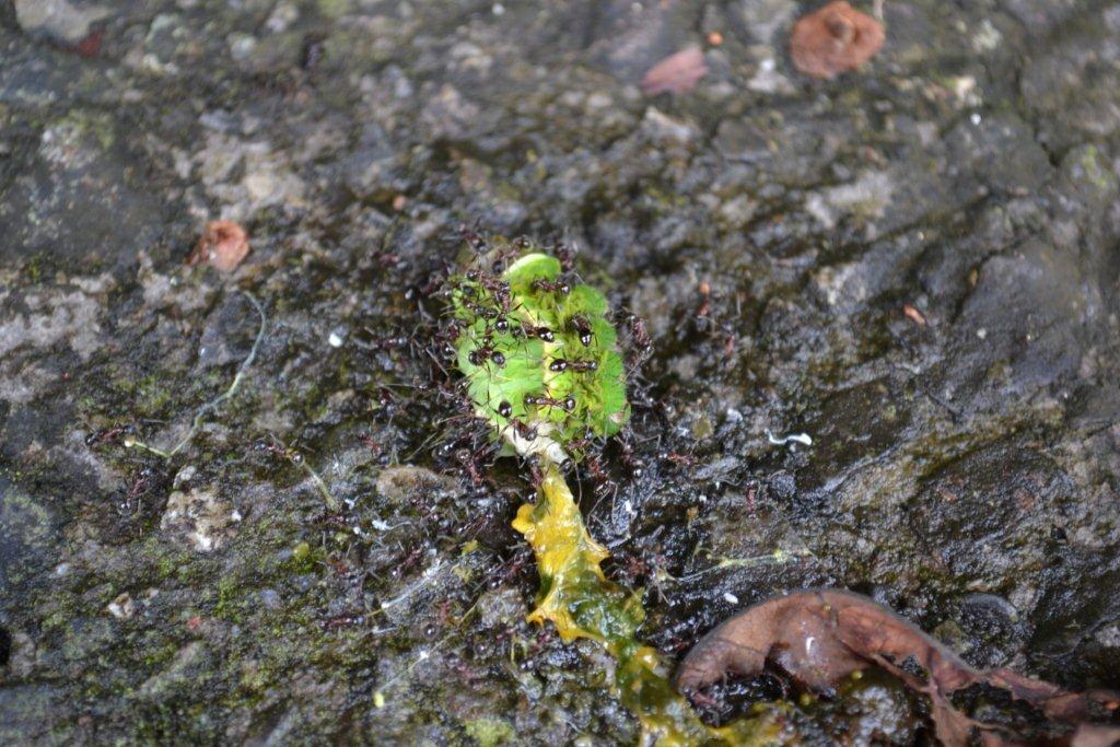 «ö¦¹¦b·sµøµ¡ÂsÄý¹Ï¤ù