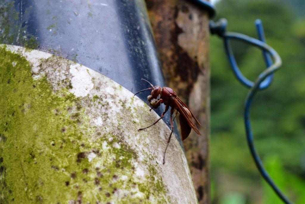 «ö¦¹¦b·sµøµ¡ÂsÄý¹Ï¤ù