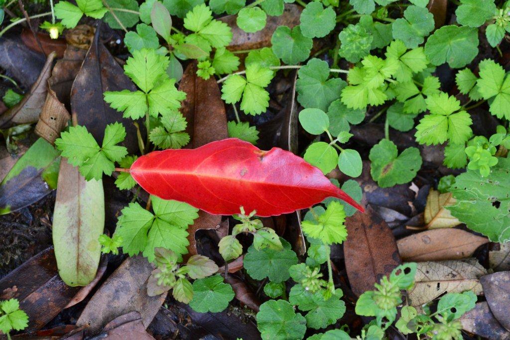 «ö¦¹¦b·sµøµ¡ÂsÄý¹Ï¤ù