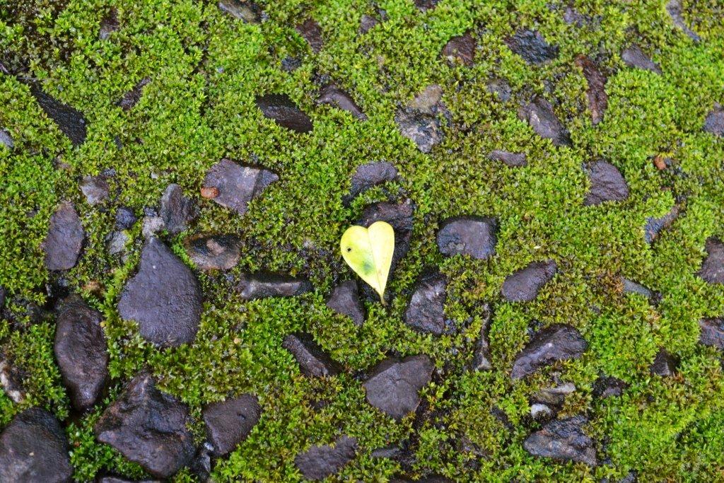 «ö¦¹¦b·sµøµ¡ÂsÄý¹Ï¤ù