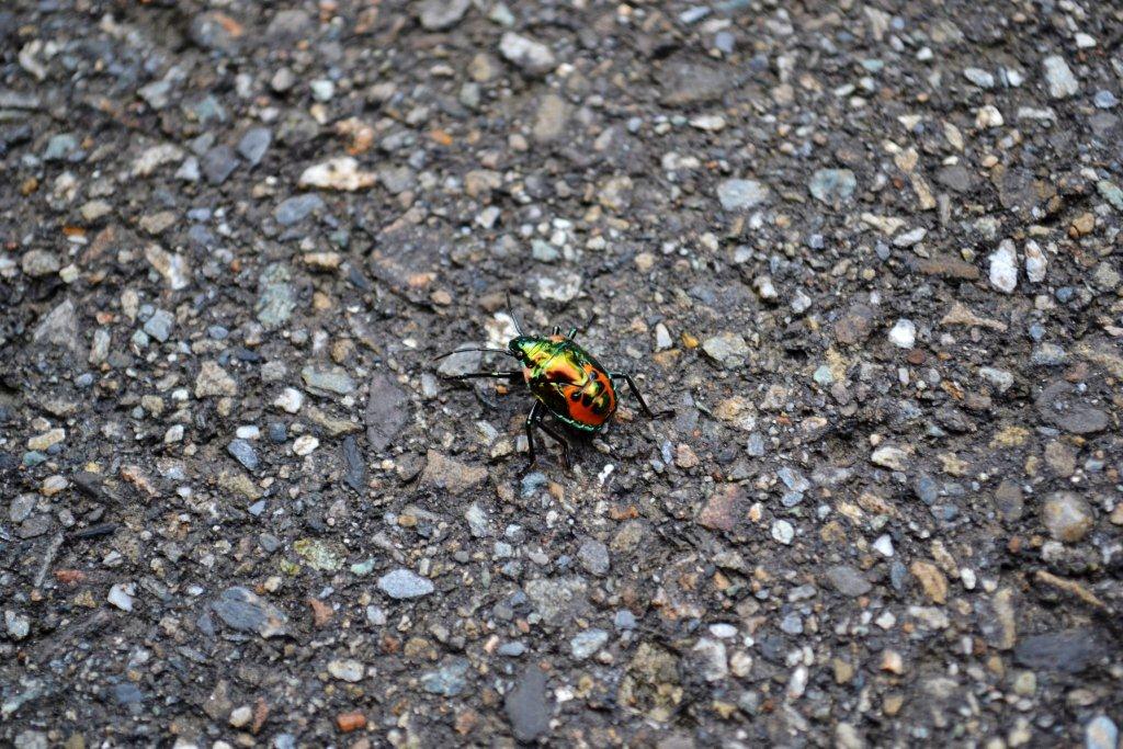 «ö¦¹¦b·sµøµ¡ÂsÄý¹Ï¤ù