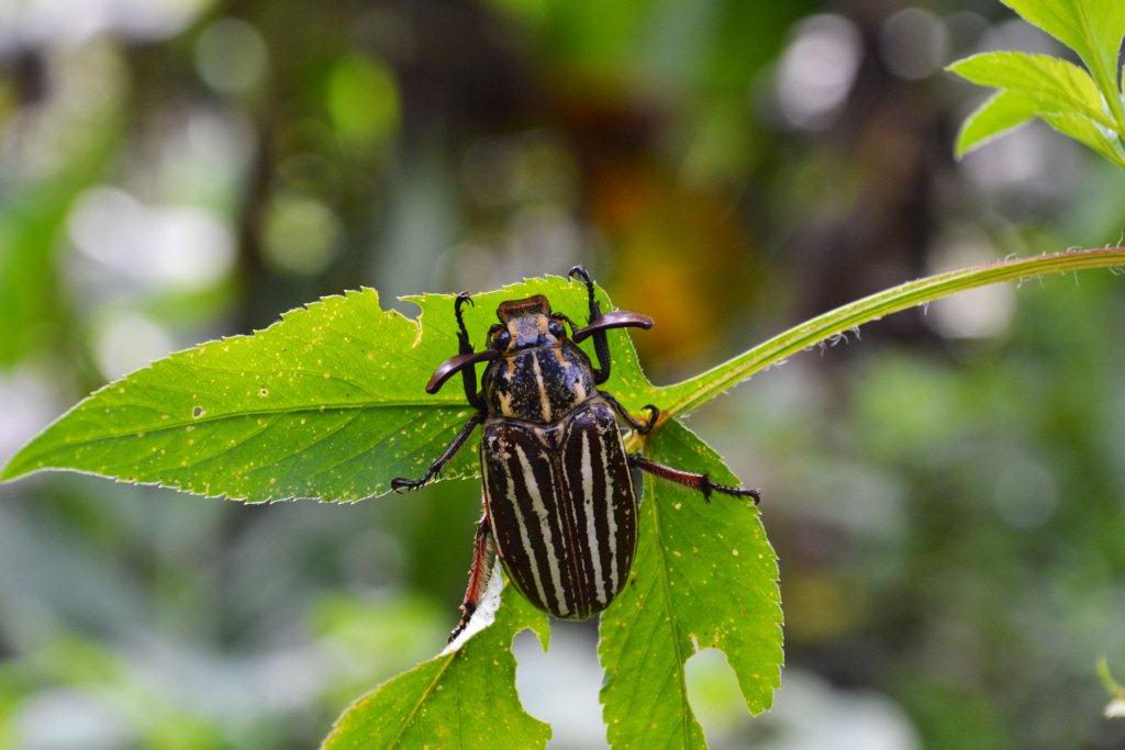 «ö¦¹¦b·sµøµ¡ÂsÄý¹Ï¤ù