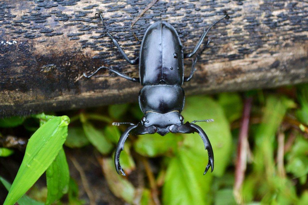 «ö¦¹¦b·sµøµ¡ÂsÄý¹Ï¤ù