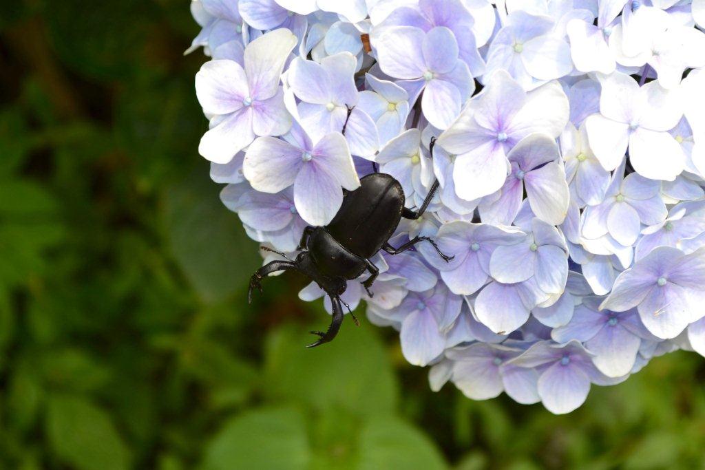 «ö¦¹¦b·sµøµ¡ÂsÄý¹Ï¤ù