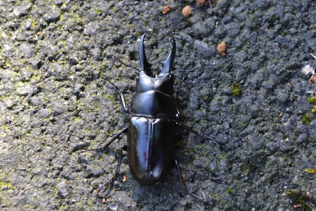 «ö¦¹¦b·sµøµ¡ÂsÄý¹Ï¤ù