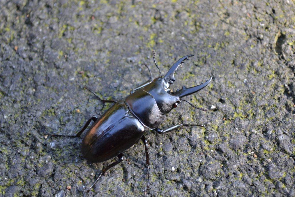 «ö¦¹¦b·sµøµ¡ÂsÄý¹Ï¤ù