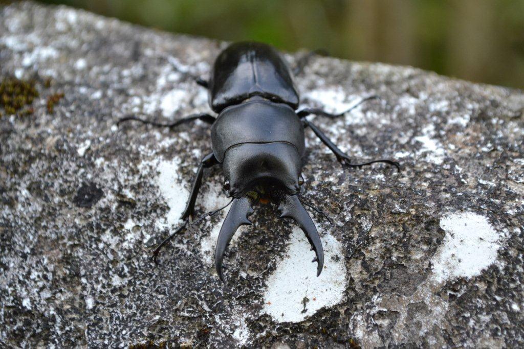 «ö¦¹¦b·sµøµ¡ÂsÄý¹Ï¤ù