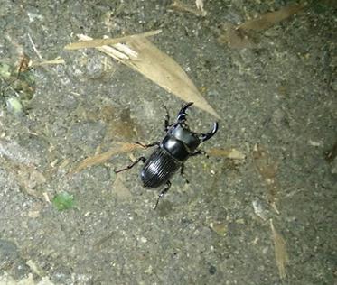 «ö¦¹¦b·sµøµ¡ÂsÄý¹Ï¤ù