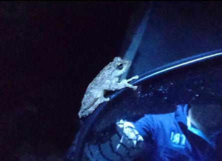 «ö¦¹¦b·sµøµ¡ÂsÄý¹Ï¤ù