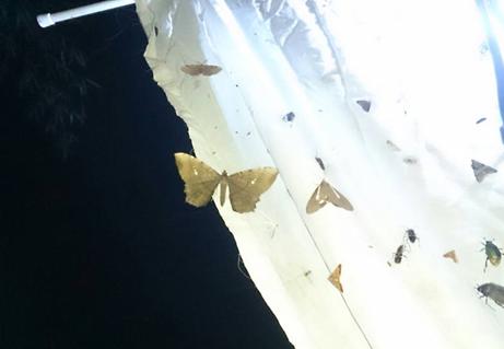 «ö¦¹¦b·sµøµ¡ÂsÄý¹Ï¤ù