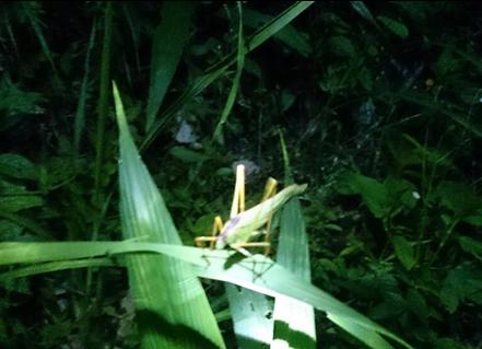 «ö¦¹¦b·sµøµ¡ÂsÄý¹Ï¤ù